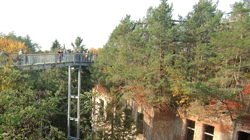 Baumkronenpfad Beelitz